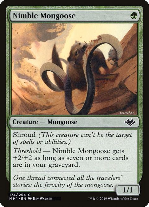 174-nimblemongoose