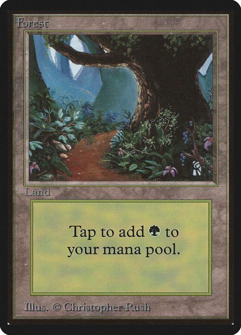 301-forest