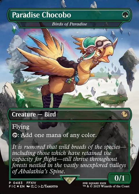 483-birdsofparadise